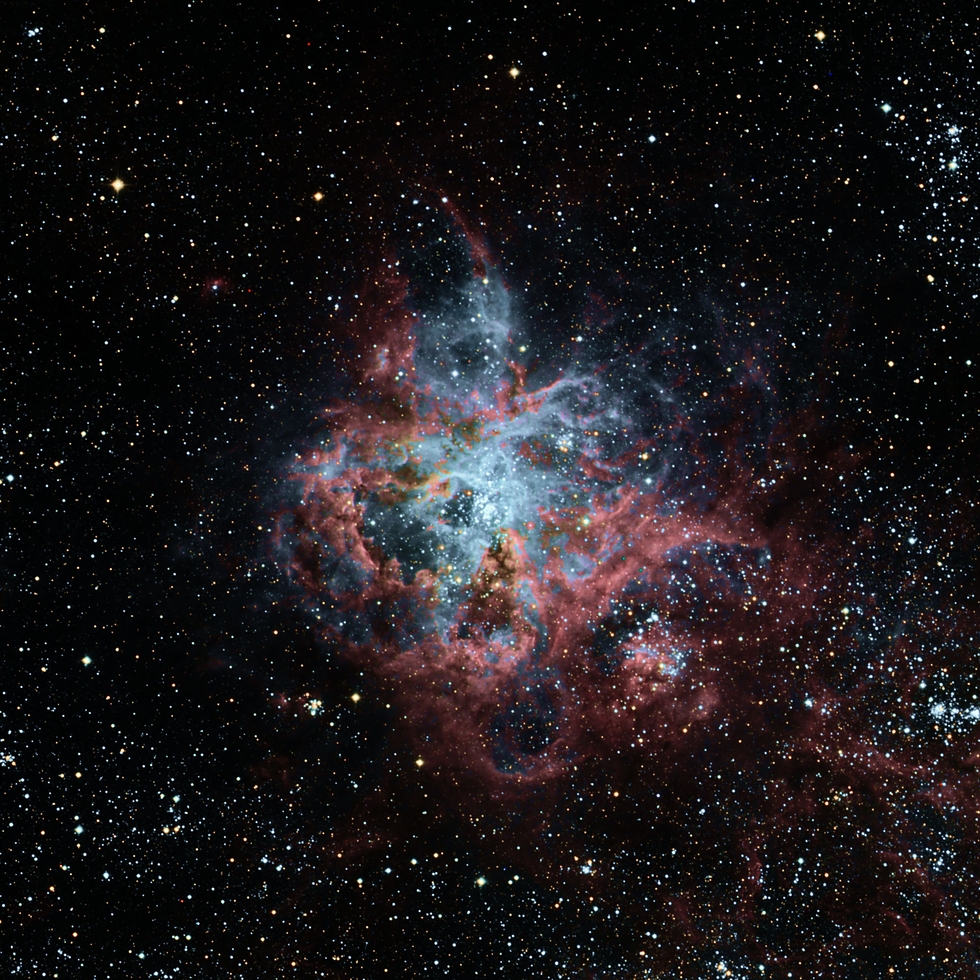 The Tarantula Nebula NGC2070 Telescope Live